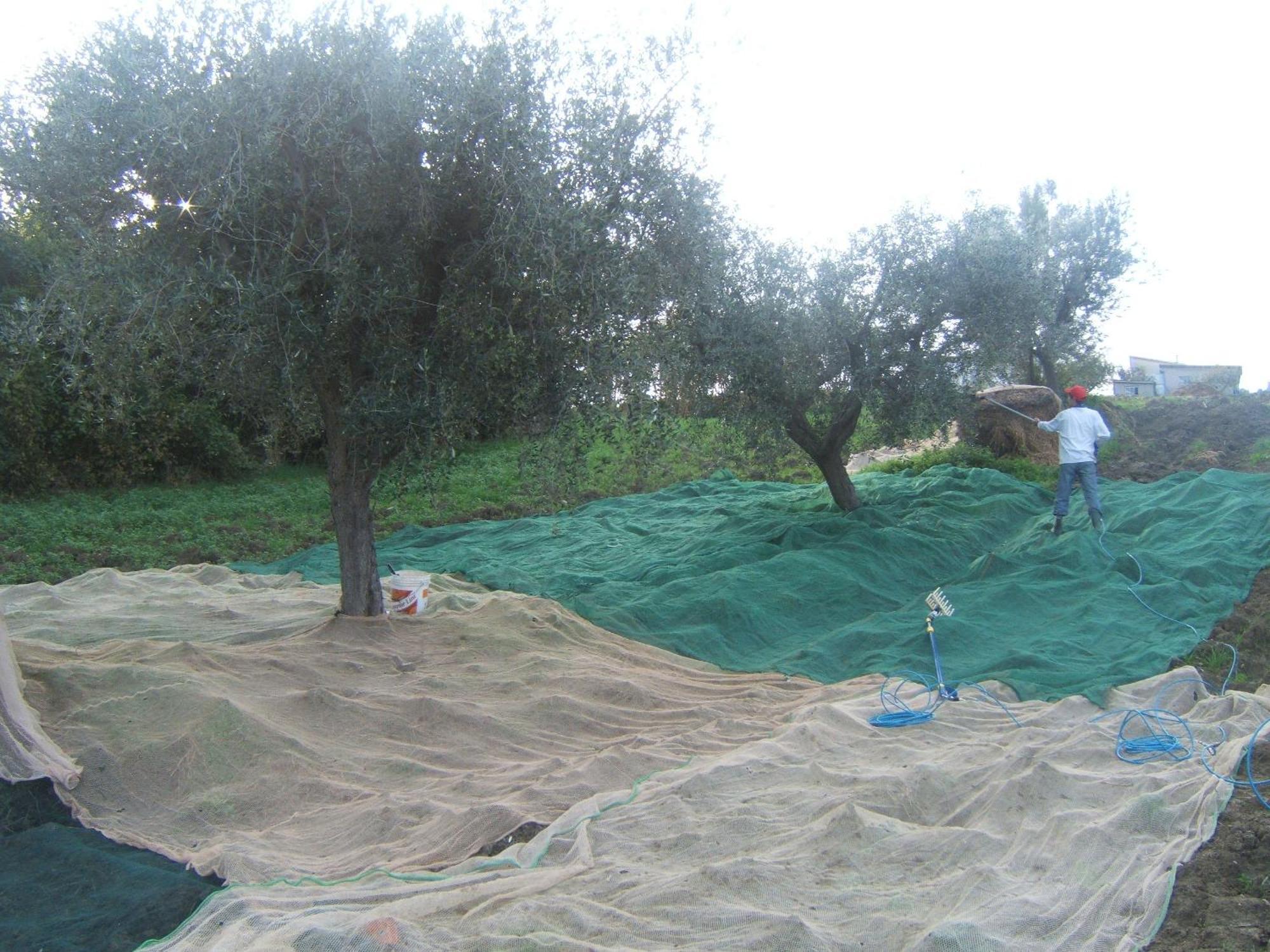 Agriturismo Il Vecchio Carro Campli Εξωτερικό φωτογραφία