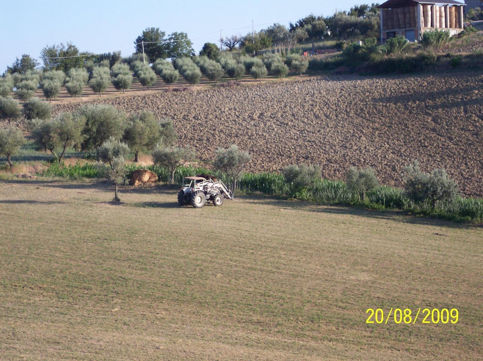 Agriturismo Il Vecchio Carro Campli Εξωτερικό φωτογραφία